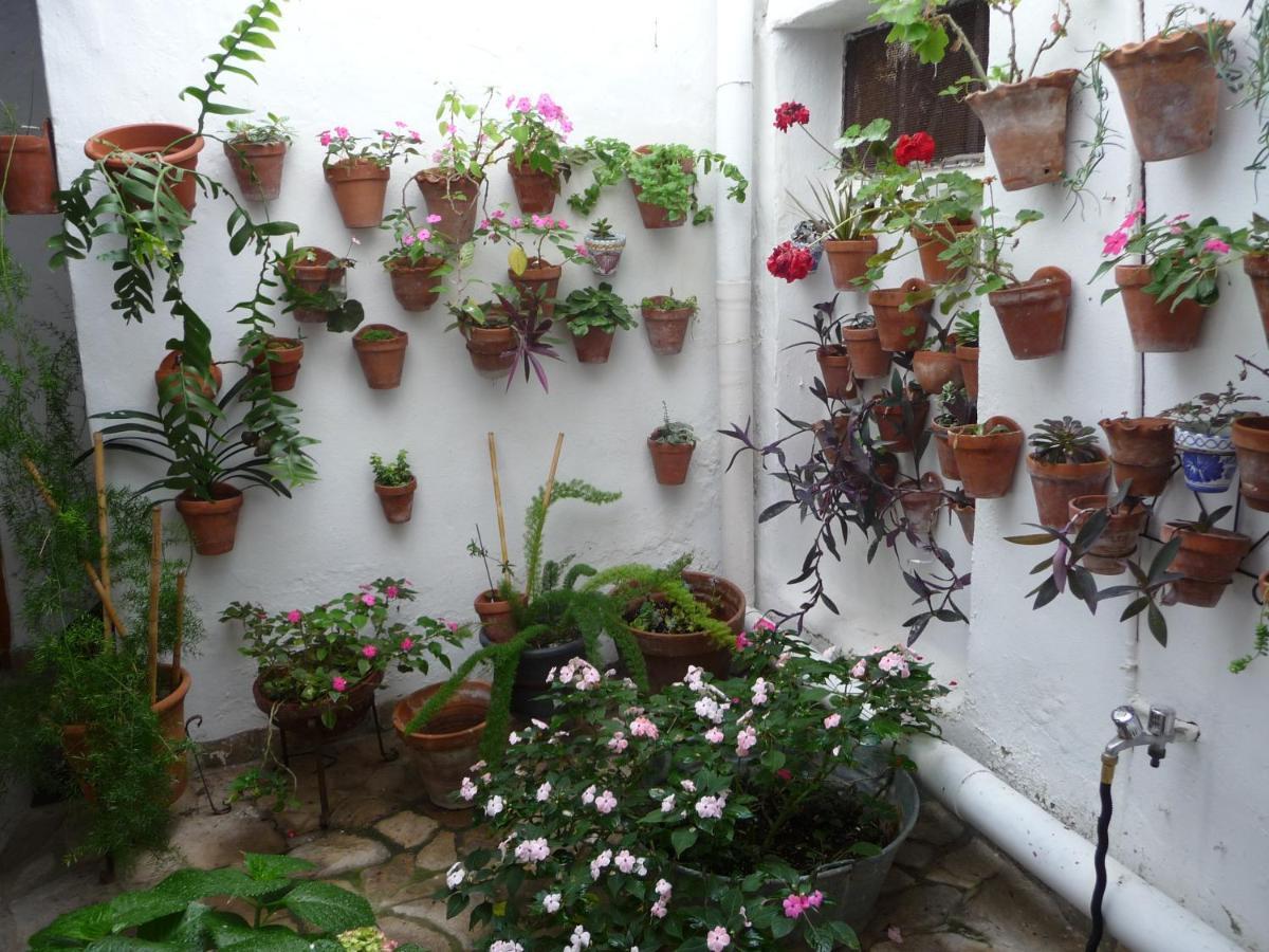 Casa Sol Vejer de la Frontera Exterior foto